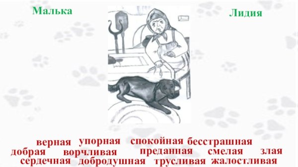 Собака малька Белов