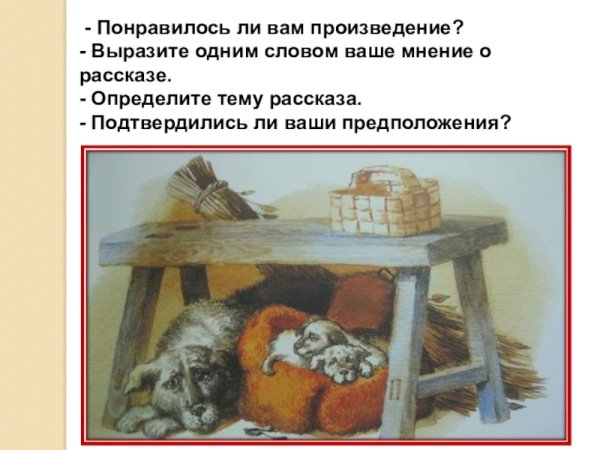 Собака малька Белов