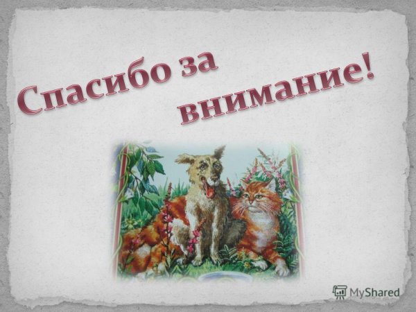 Синквейн малька провинилась