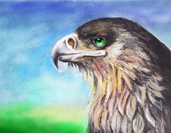 Рисунки Орлов