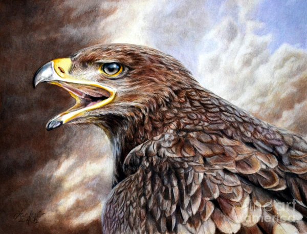 Цветные зарисовки Орлов