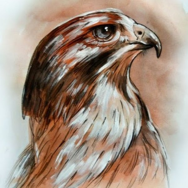 Орел рисунок