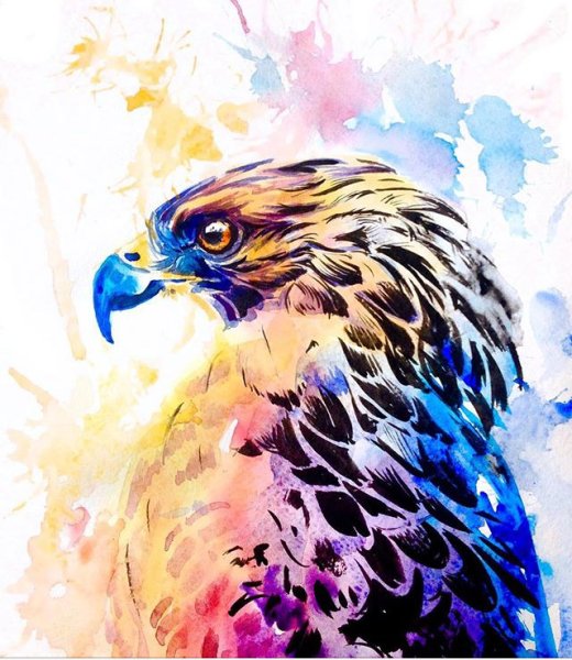 Рисуем орла