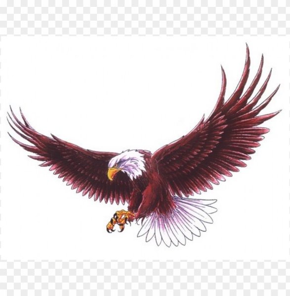 Орел гуашью