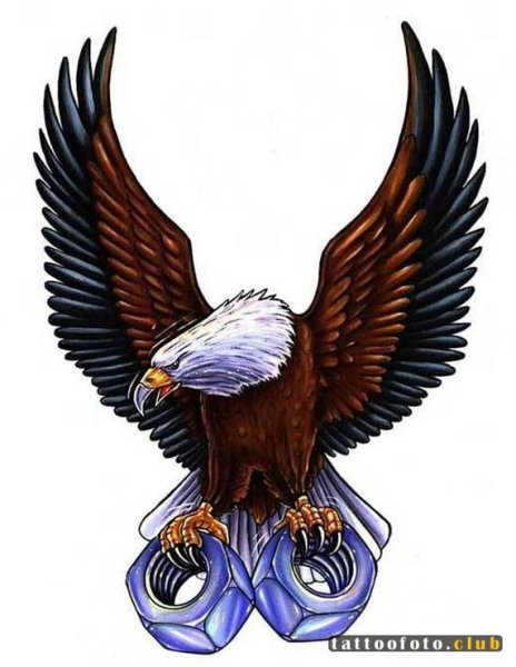 Тотем Коршун