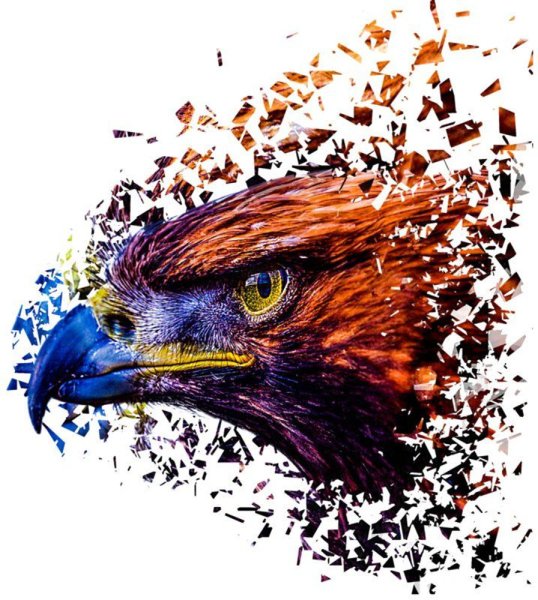 Беркут мультяшный