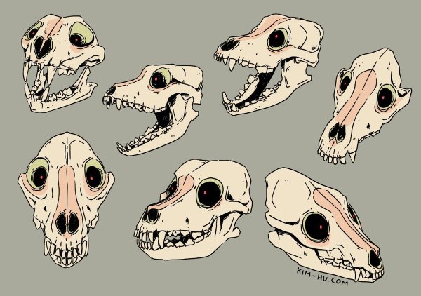 Skull Dog референс