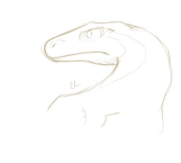 Схема раптора