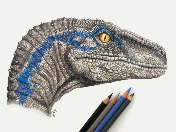 Велоцерпптор Блю голова