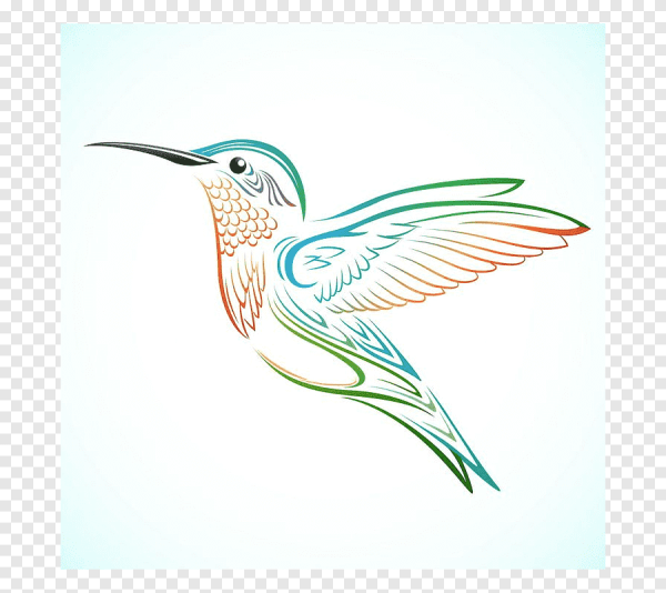 Надпись с птичкой Колибри