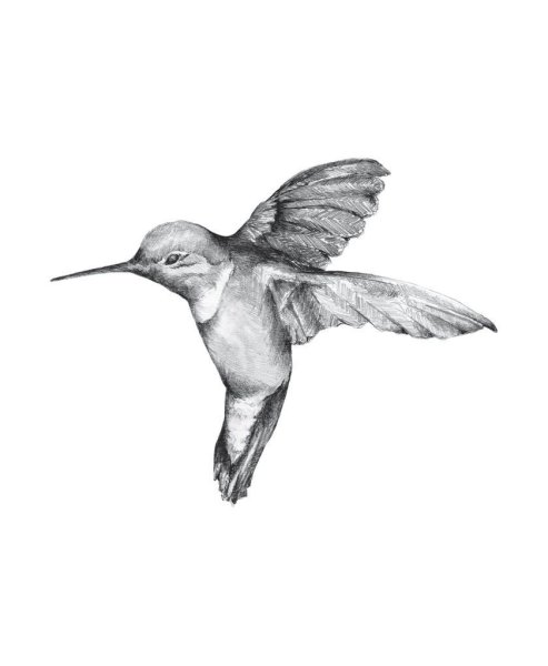 Тату птичка Колибри эскизы