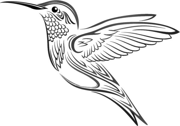 Тату Колибри