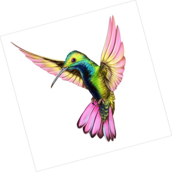 Цветные Колибри