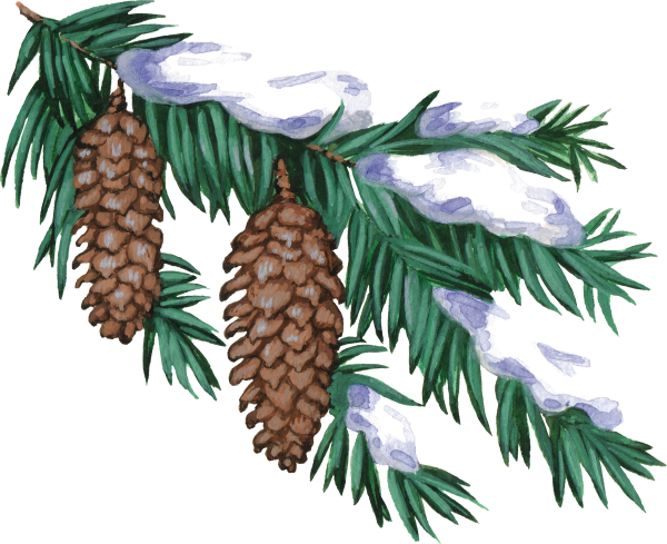 Еловая веточка с шишкой