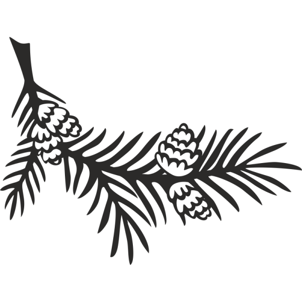 Ветка Еловая