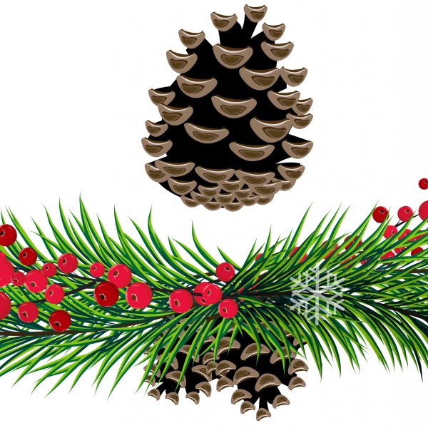 Новогодняя Хвойная ветка