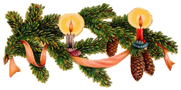 Еловые ветки Рождество