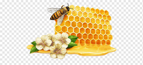 Фон с сотами и пчелами