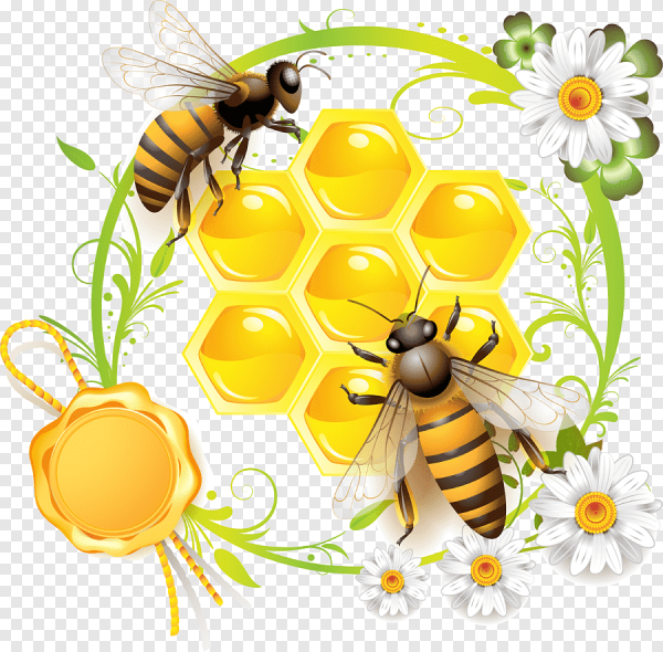 Пчела с сотами