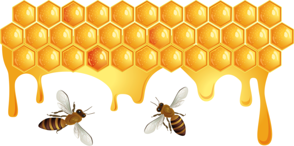 Соты с пчелкой