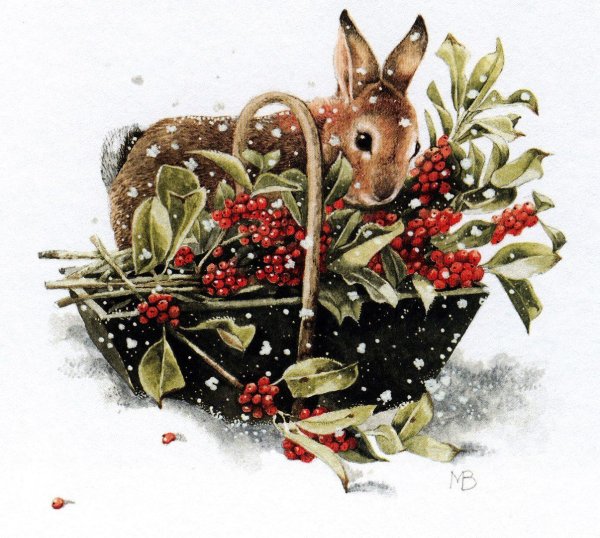 Кролик нарисованный Рождество