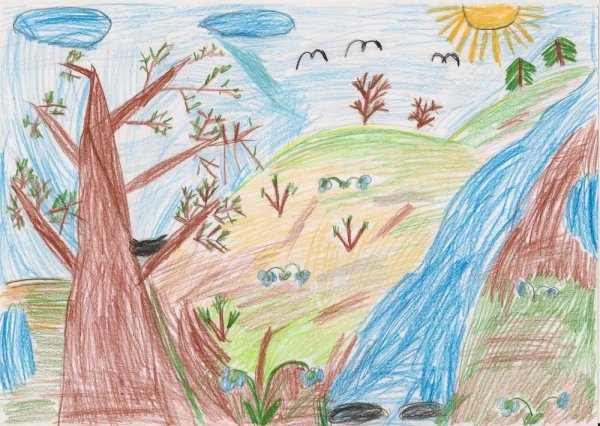 Мир природы рисунок