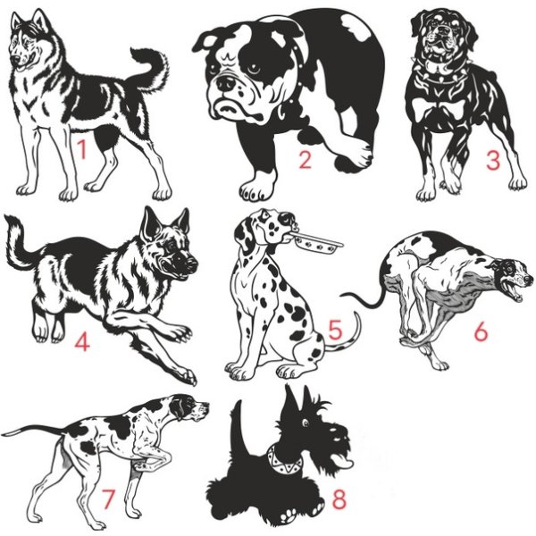 Изображения для плоттерной резки