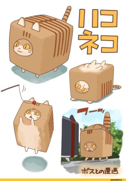 Нарисованные квадратные котики