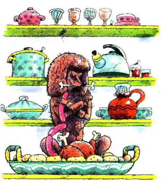 Маршак пудель иллюстрации