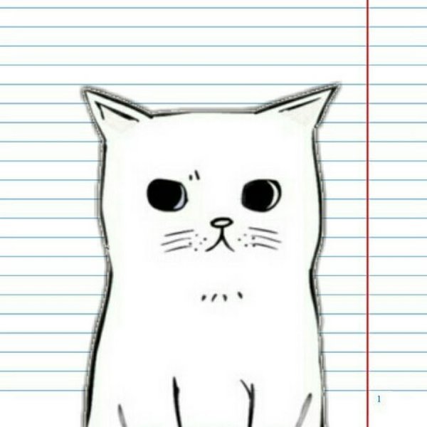 Котики для срисовки черно белые