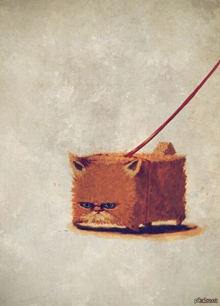 Квадратный кот