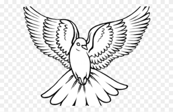 Голубь мира раскраска