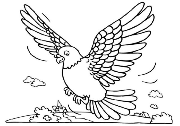 Птичка раскраска