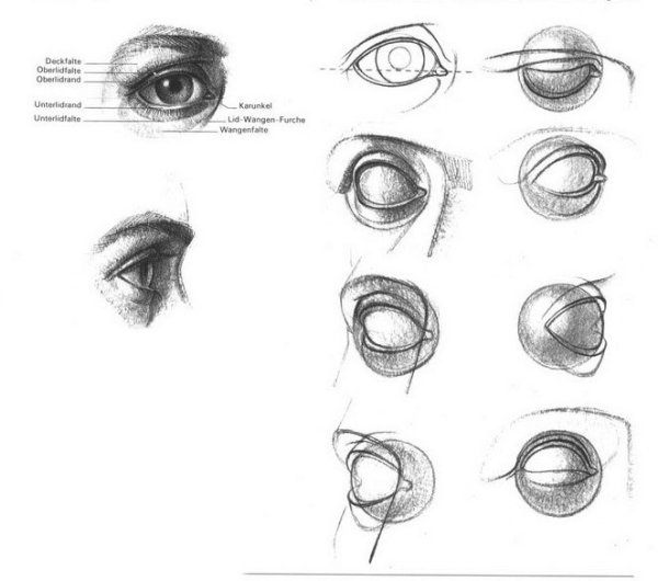 Построение глаз Баммес