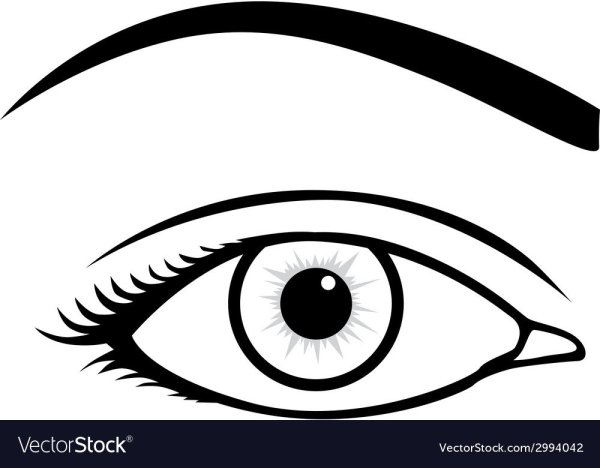 Схематичный глаз