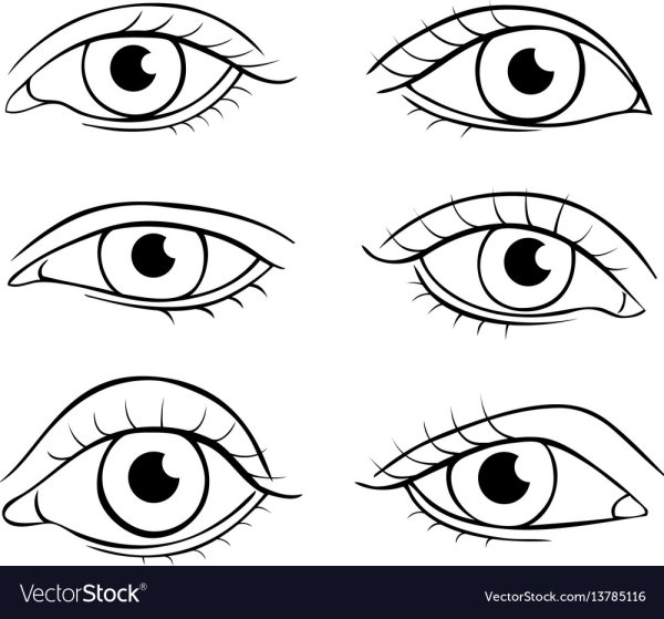 Формы глаз схематично