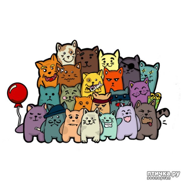 Много мультяшных котиков