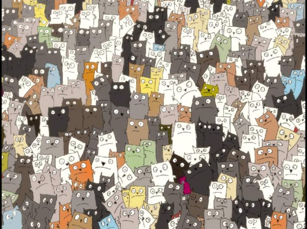 Много котиков рисунок
