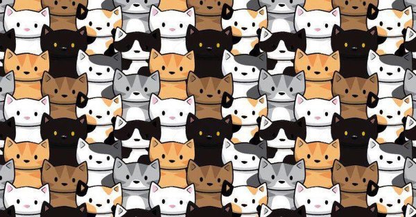 Паттерн из котиков