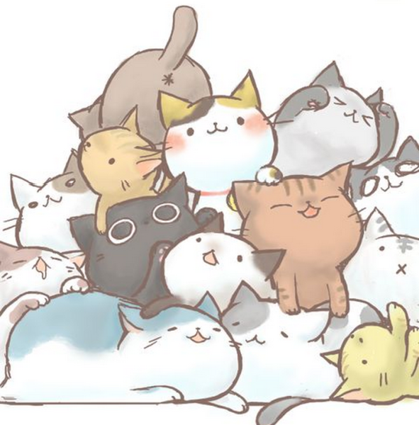 Кавайные котики много