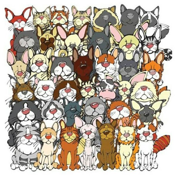 Найди кота среди собак