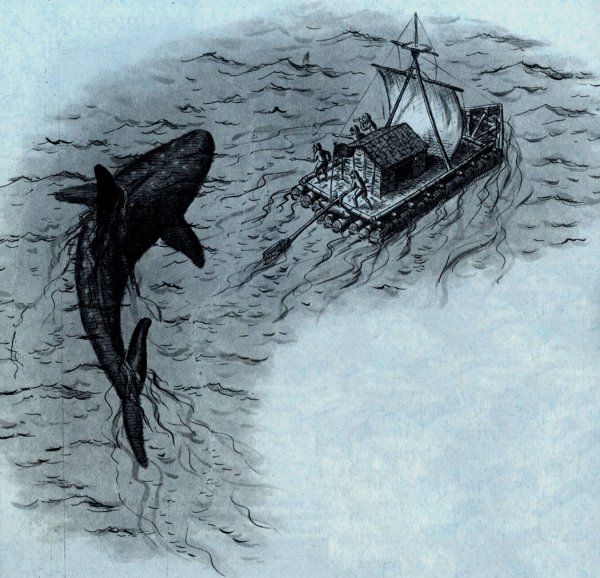 Кон Тики кит