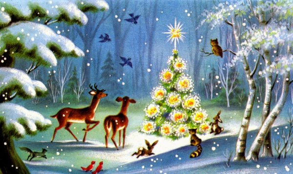 Сказочный зимний лес для детей