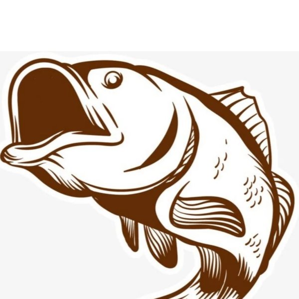 Рыба Векторная Графика