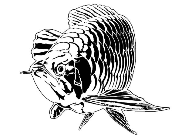 Рыбки Графика