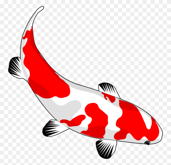 Японские рыбки