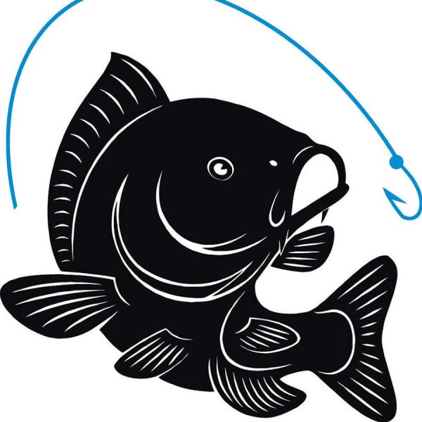 Силуэт рыбы