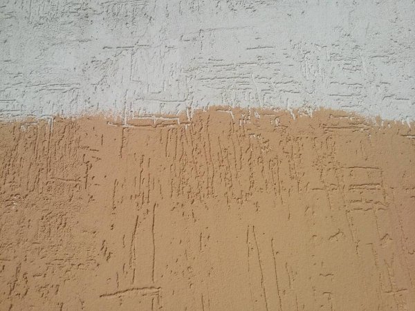 Обои короед