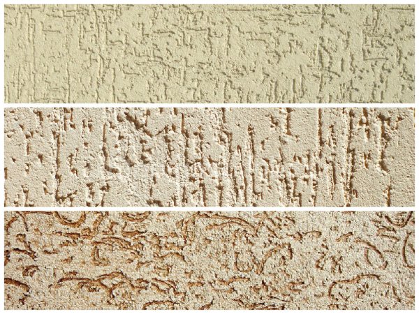 Силикатный короед