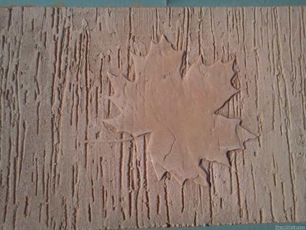 Короед рисунок